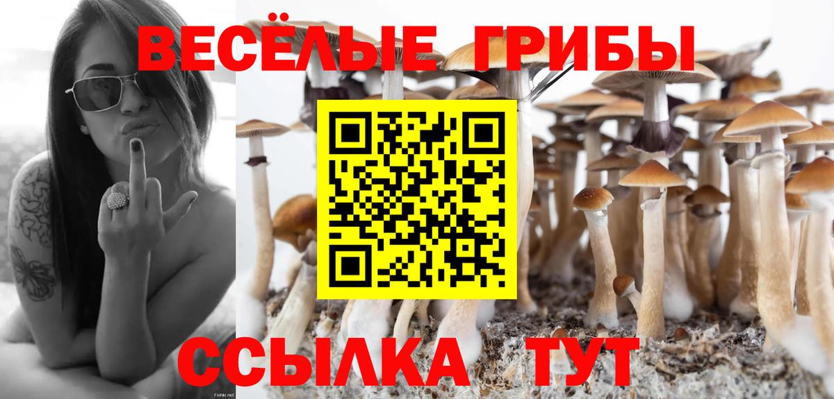 Реутов  Галлюциногенные грибы GOLDEN TEACHER  Вход с VPN 